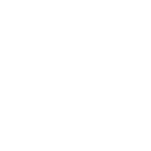 twitter-x icon